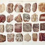 ásványok és kőzetek eredeti régi nyomat