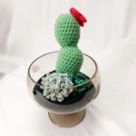 Horgolt kaktusz és pozsgás beültetés 2